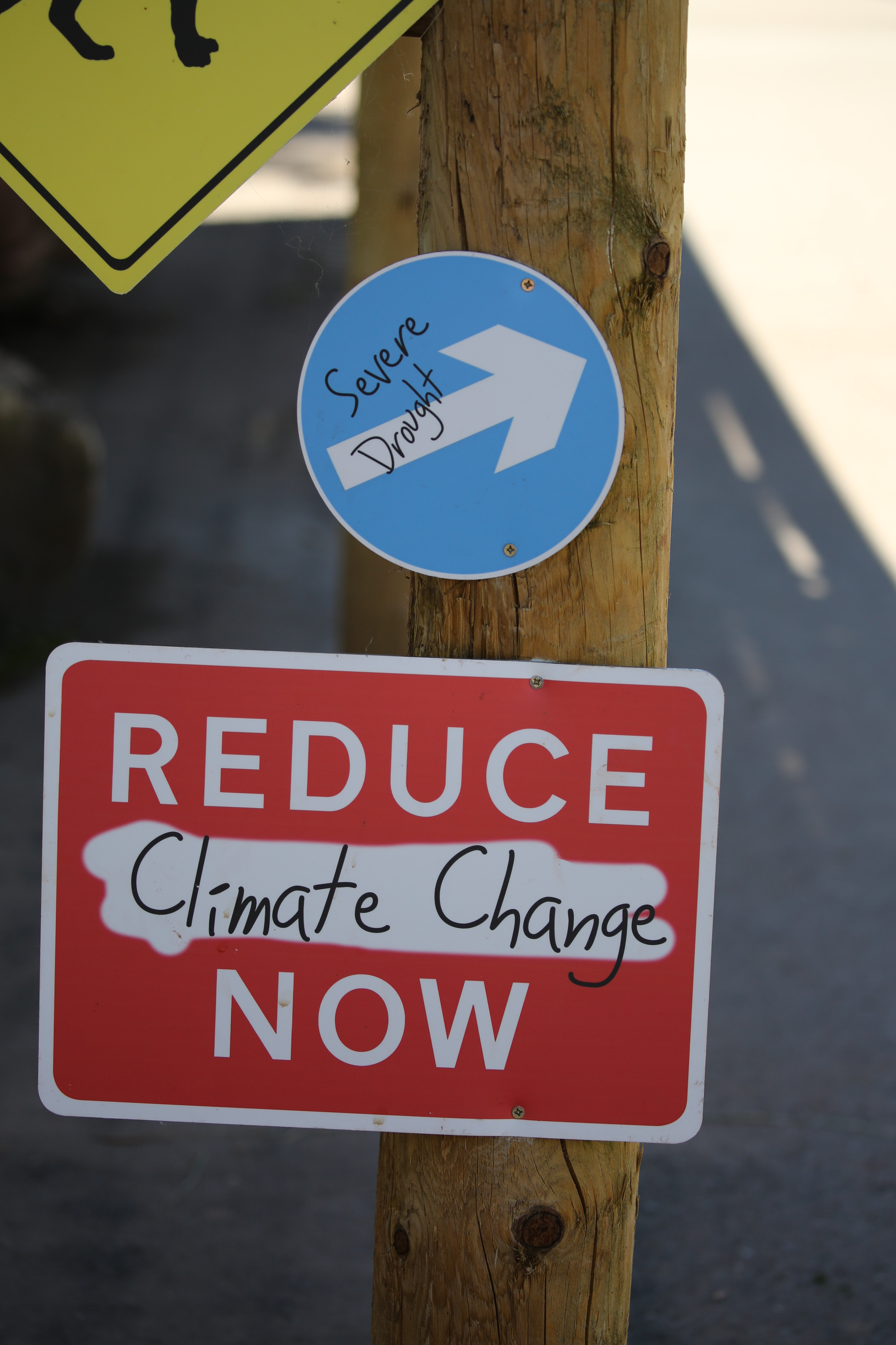 Reduce Climate Change Now