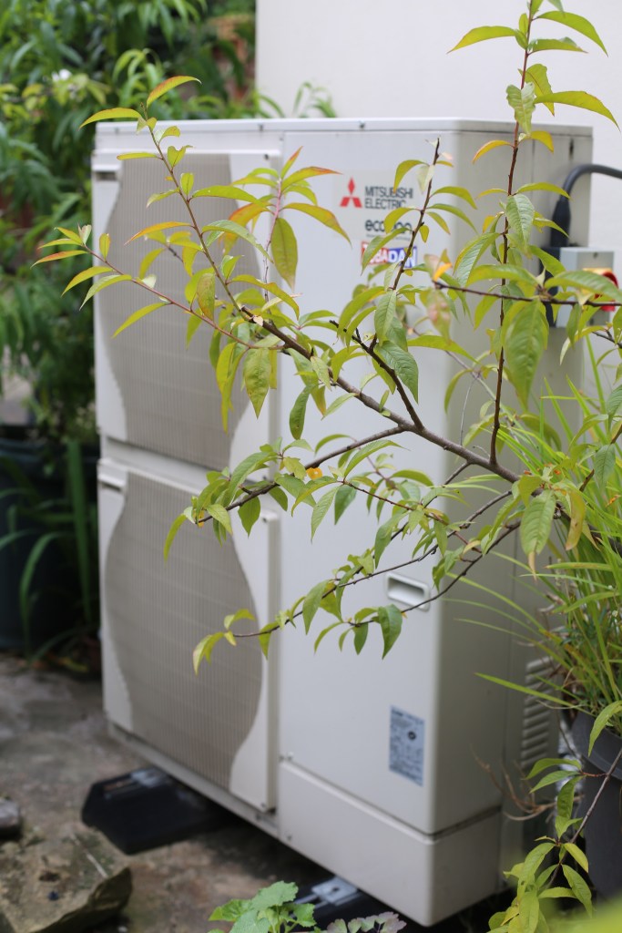 Air-to-water Air Source Heat Pump behind vegetation