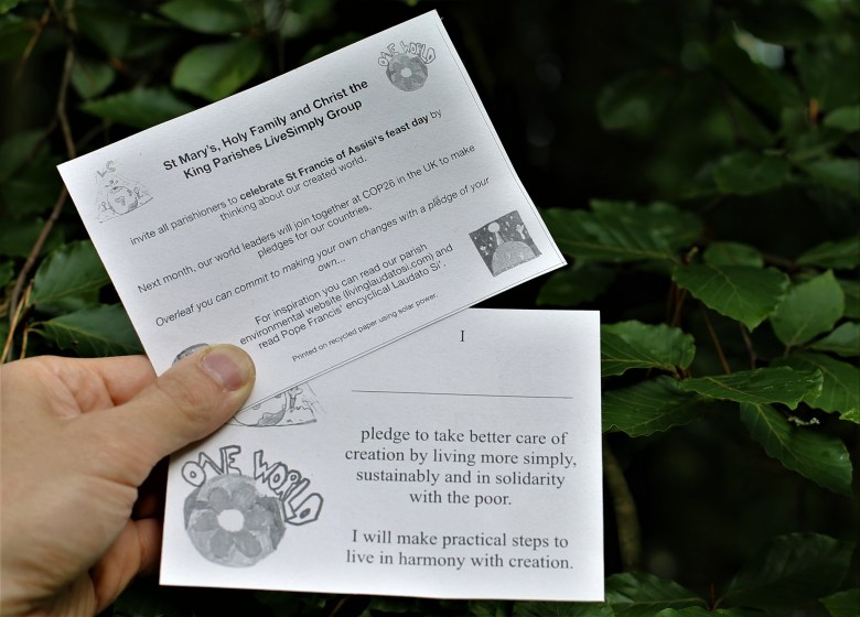 Pledge Card for St Francis of Assisi's feast day