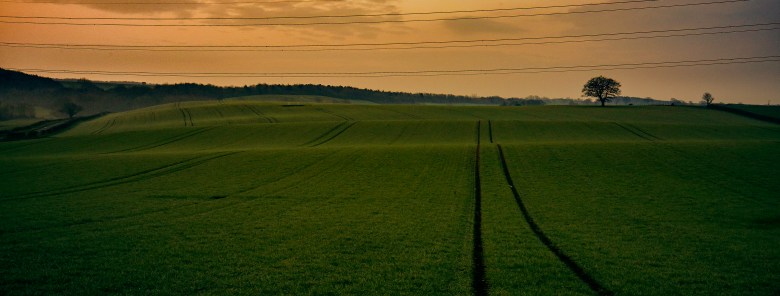 Climate Stability - Field View