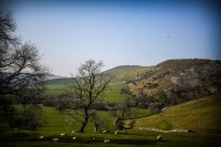 Keeping our climate stable