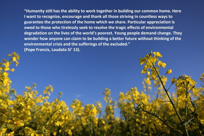 Laudato Si' 13