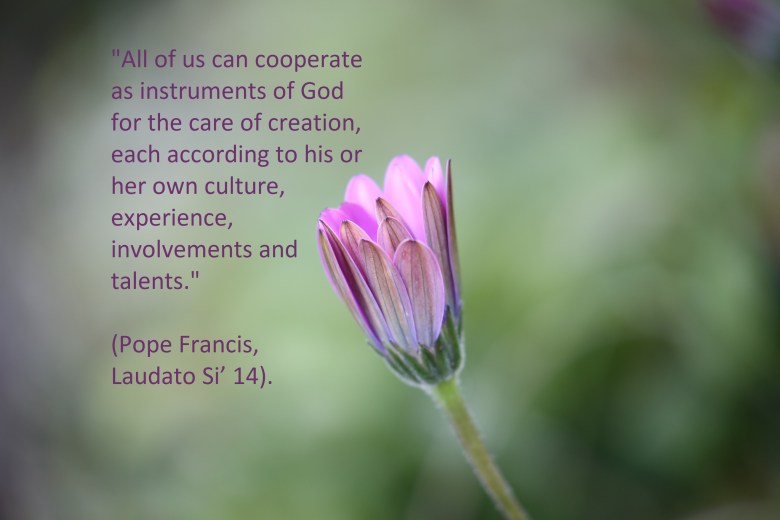 Laudato Si' 14