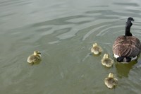 Learning about our World