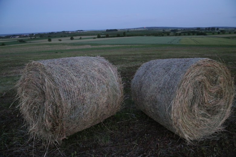 Hay bales