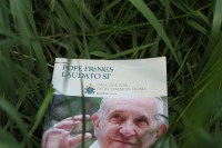 Laudato Si' in tall grass
