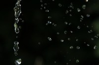 Rainwater irrigation image