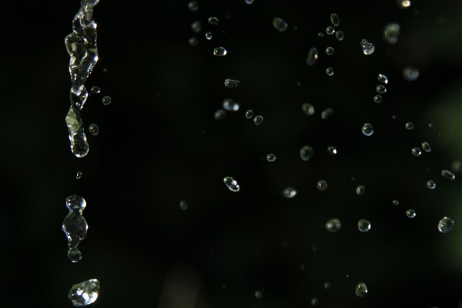 Rainwater irrigation image