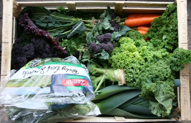 Seasonal produce (Jan/Feb)