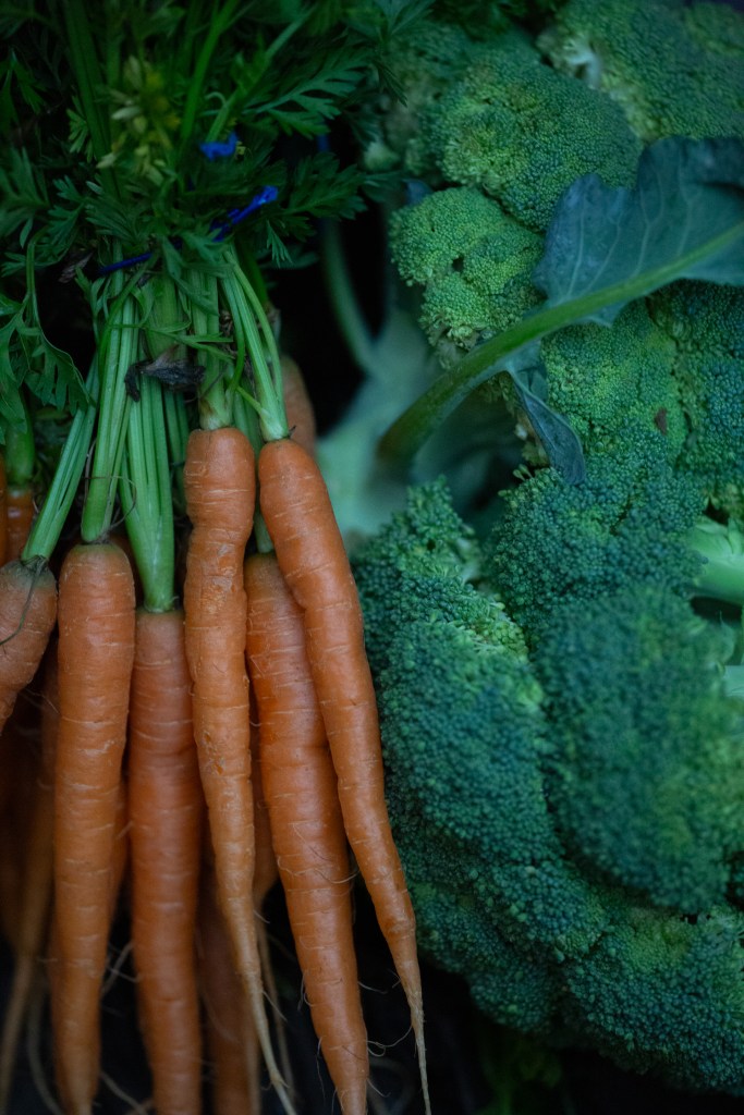 Carrots and Broccoli