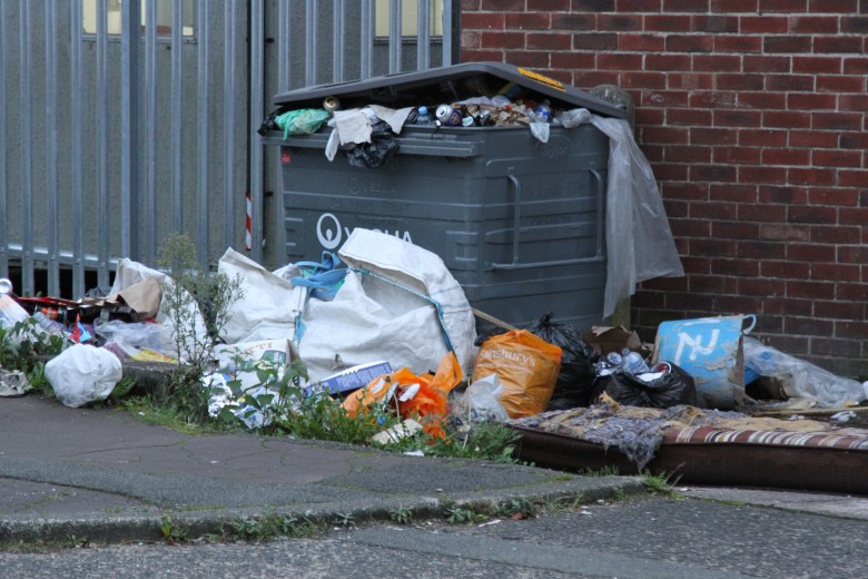 Plastic waste is a large proportion of municipal waste