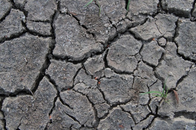 Cracking in dried earth