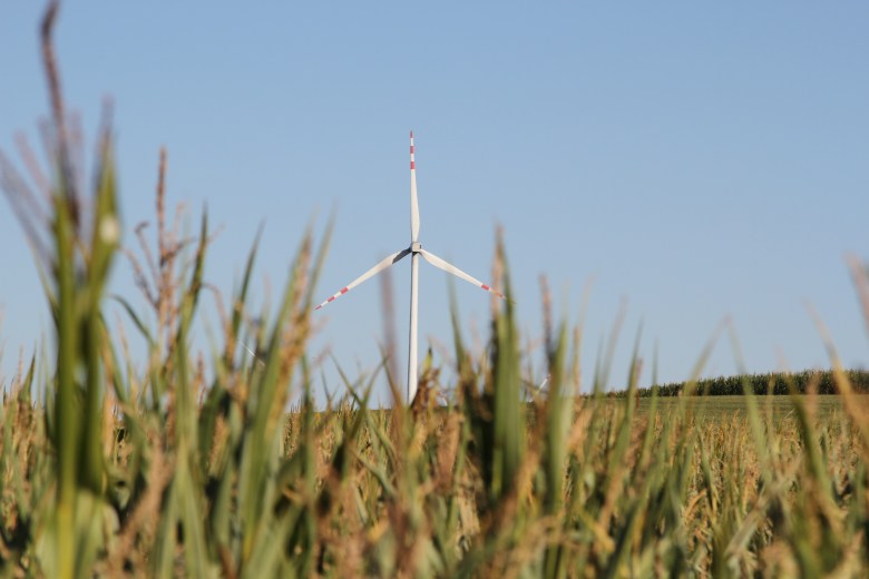 Wind turbine in a field