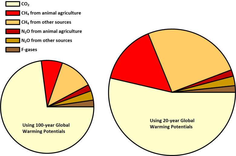 2019 GHG Emissions showing contribution of animal agriculture