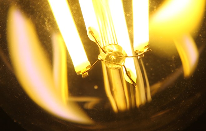 LED Filament Bulb Detail