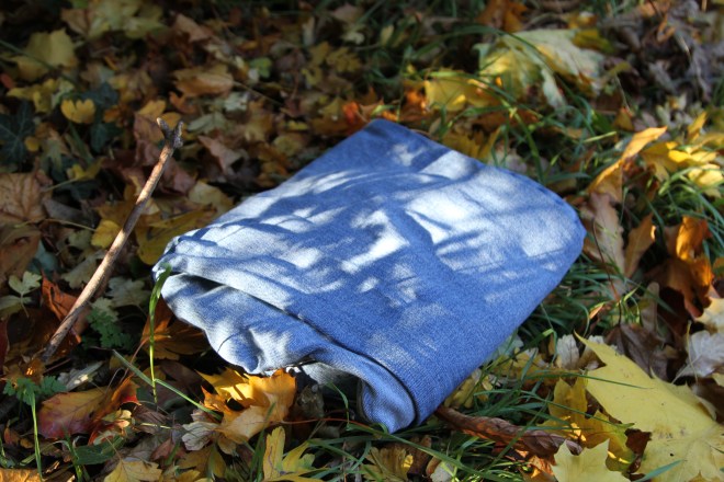 Jeans in an autumn woodland