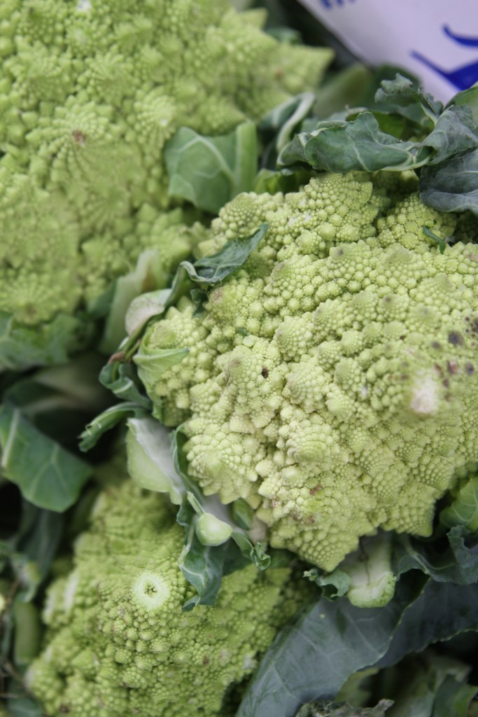 Romanesco Broccoli