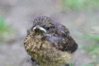 Helping future generations