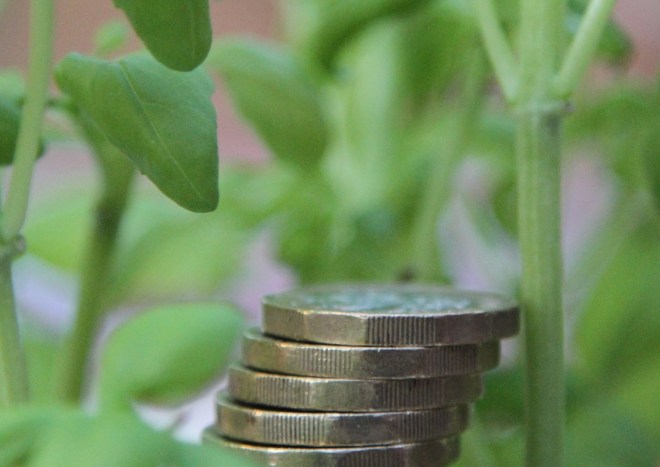 Sustainable investing