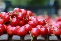 Cherries