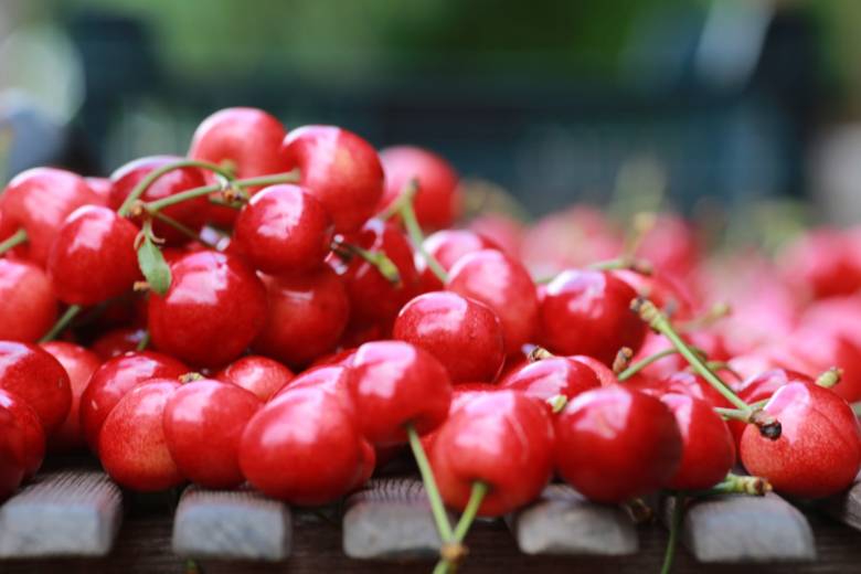 An Ecological Conversion