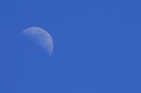 The Moon from Earth
