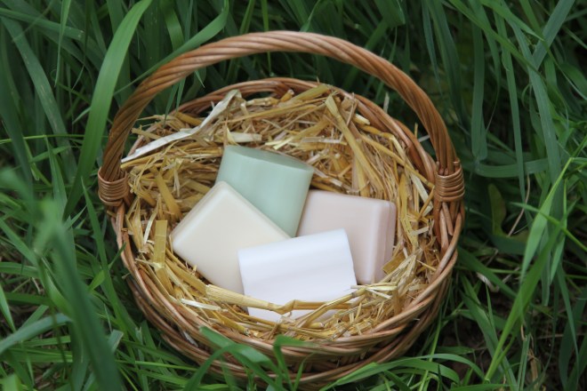 Ethical and Sustainable Soaps and Shampoo Bars