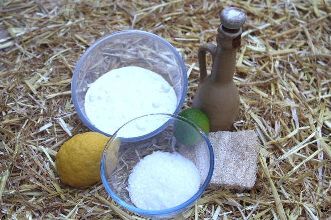 Cleaning Product Ingredients